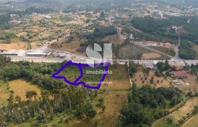 Terreno Rstico - Vila Nova de Poiares, Vila Nova de Poiares, Coimbra - Imagem grande