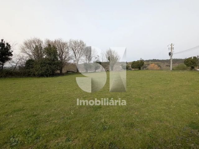 Terreno R�stico T0 - N�o Definido, N�o Definido, N�o Definido - Imagem grande