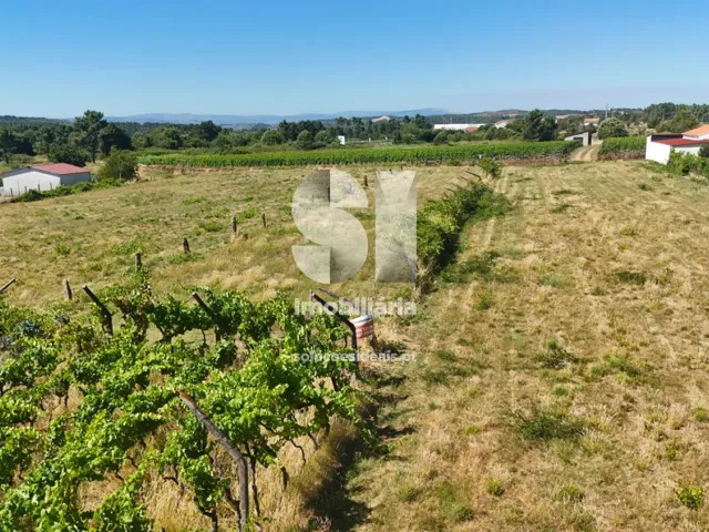 Terreno Urbano T0 - S�o Martinho de Antas e Paradela de Gui�es, Sabrosa, Vila Real - Imagem grande