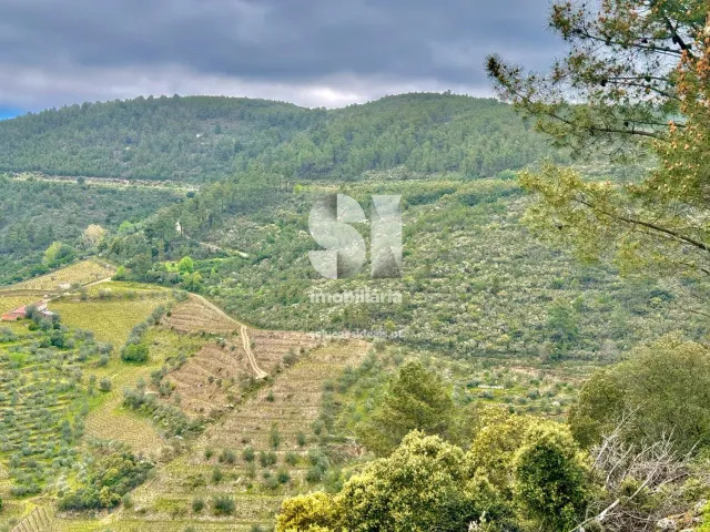 Terreno Urbano T0 - S�o Martinho de Antas e Paradela de Gui�es, Sabrosa, Vila Real - Imagem grande