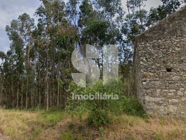 Terreno R�stico T0 - Bolho, Cantanhede, Coimbra - Imagem grande