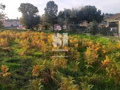 Terreno Rstico - Paos, Sabrosa, Vila Real