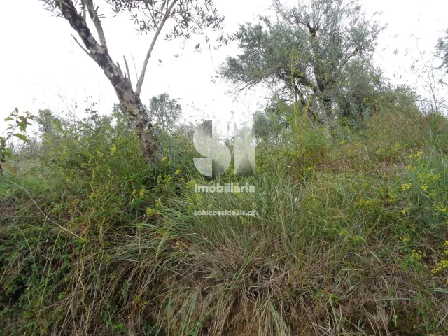 Terreno Urbano T0 - Lous�, Lous�, Coimbra