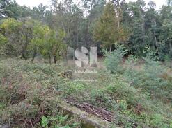 Moradia T3 - Lousã, Lousã, Coimbra - Miniatura: 19/30