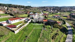 Moradia T1 - So Martinho de Antas e Paradela de Guies, Sabrosa, Vila Real - Miniatura: 13/18