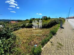 Terreno Rstico - Sabrosa, Sabrosa, Vila Real - Miniatura: 3/18