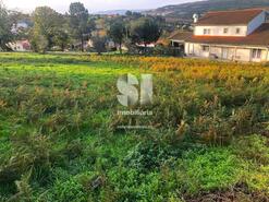 Terreno Rstico - Paos, Sabrosa, Vila Real - Miniatura: 2/14