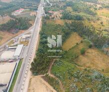 Terreno Rstico - Vila Nova de Poiares, Vila Nova de Poiares, Coimbra - Miniatura: 5/9