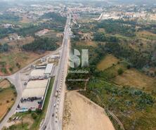 Terreno Rstico - Vila Nova de Poiares, Vila Nova de Poiares, Coimbra - Miniatura: 6/9