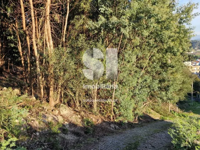 Terreno Urbano T0 - Baltar, Paredes, Porto - Miniatura: 4/30