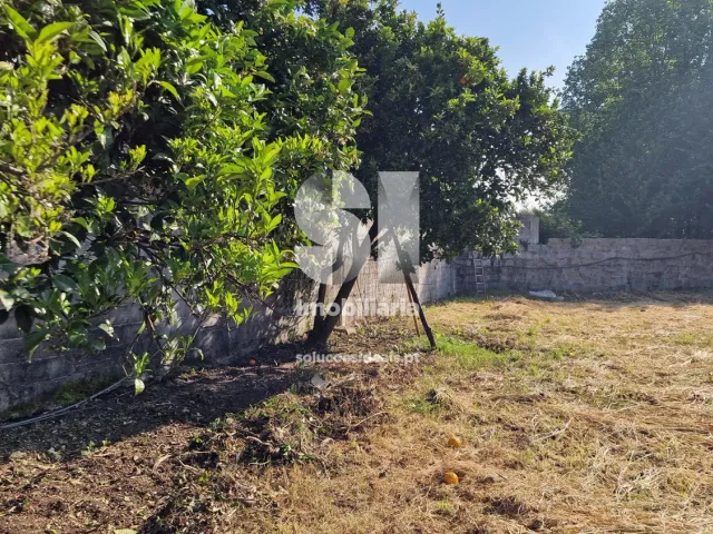 Terreno Urbano T0 - TERMAS DE S�O VICENTE, Penafiel, Porto - Miniatura: 2/34