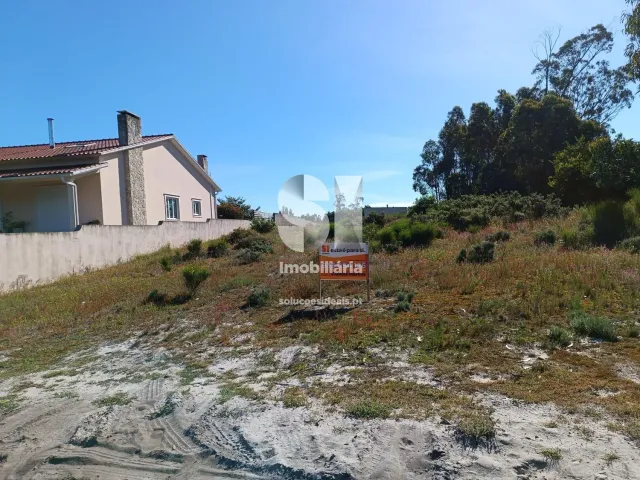 Terreno R�stico T0 - Vieira de Leiria, Marinha Grande, Leiria - Miniatura: 5/12