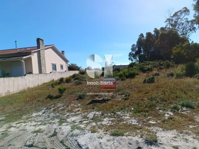 Terreno R�stico T0 - Vieira de Leiria, Marinha Grande, Leiria - Miniatura: 6/12