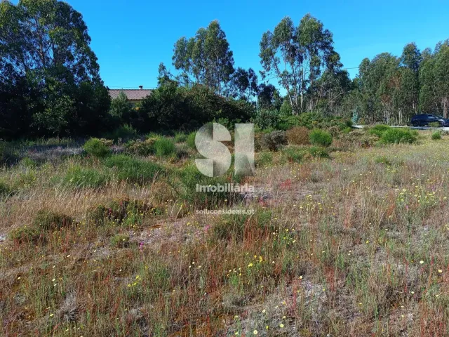 Terreno R�stico T0 - Vieira de Leiria, Marinha Grande, Leiria - Miniatura: 9/12