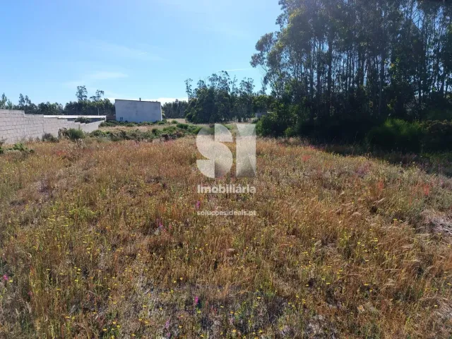 Terreno R�stico T0 - Vieira de Leiria, Marinha Grande, Leiria - Miniatura: 10/12