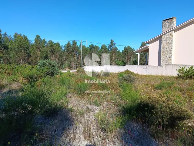 Terreno R�stico T0 - Vieira de Leiria, Marinha Grande, Leiria - Miniatura: 11/12