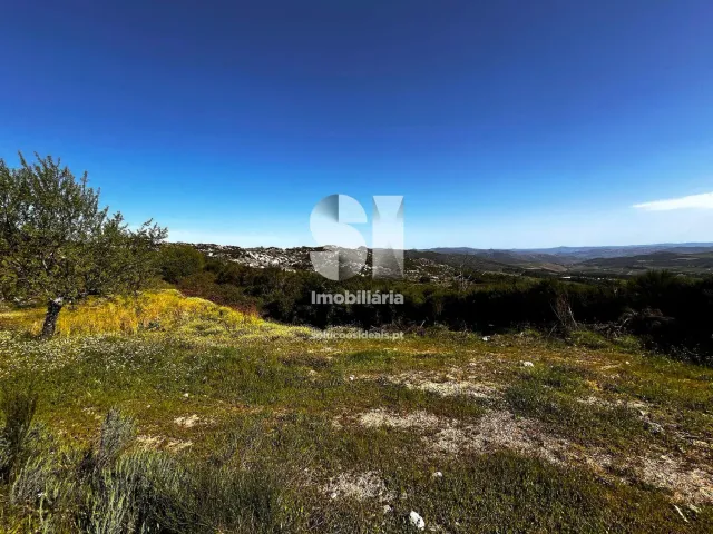 Terreno Urbano T0 - Alij�, Alij�, Vila Real - Miniatura: 12/14