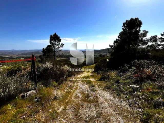 Terreno Urbano T0 - Alij�, Alij�, Vila Real - Miniatura: 13/14