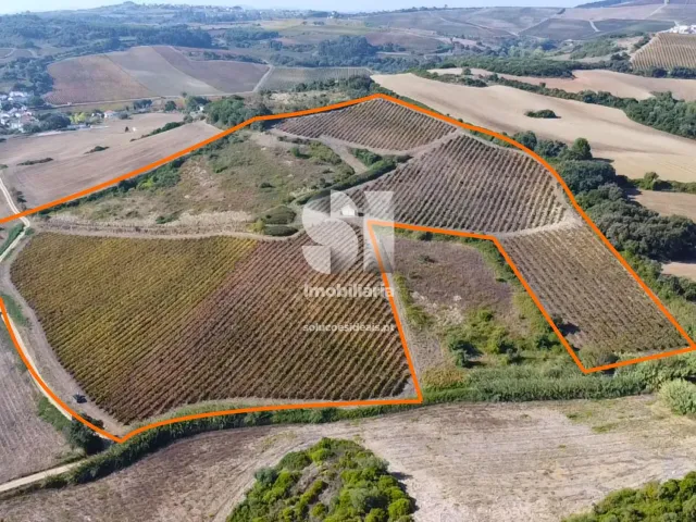 Terreno R�stico T0 - Dois Portos, Torres Vedras, Lisboa - Miniatura: 3/21