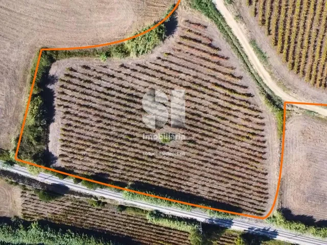 Terreno R�stico T0 - Dois Portos, Torres Vedras, Lisboa - Miniatura: 4/21