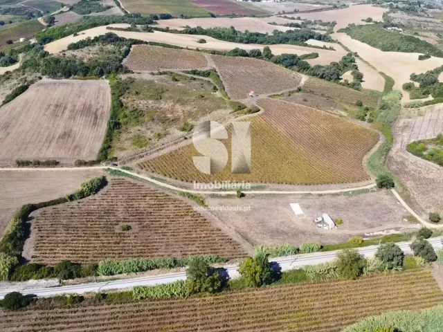Terreno R�stico T0 - Dois Portos, Torres Vedras, Lisboa - Miniatura: 6/21