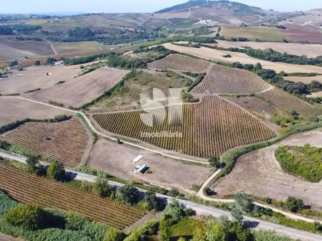 Terreno R�stico T0 - Dois Portos, Torres Vedras, Lisboa - Miniatura: 7/21