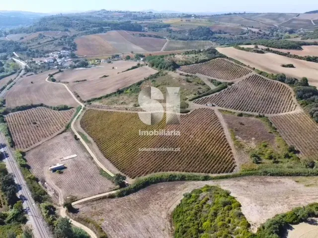 Terreno R�stico T0 - Dois Portos, Torres Vedras, Lisboa - Miniatura: 8/21