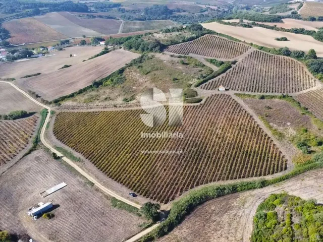 Terreno R�stico T0 - Dois Portos, Torres Vedras, Lisboa - Miniatura: 10/21