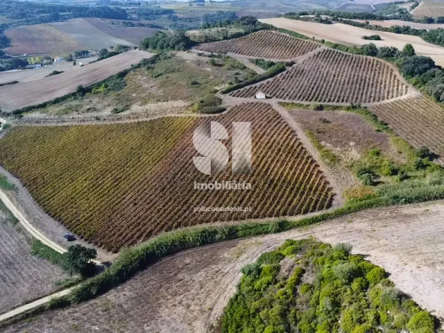 Terreno R�stico T0 - Dois Portos, Torres Vedras, Lisboa - Miniatura: 11/21