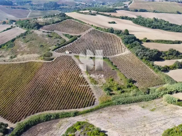 Terreno R�stico T0 - Dois Portos, Torres Vedras, Lisboa - Miniatura: 12/21