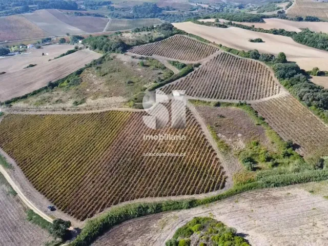 Terreno R�stico T0 - Dois Portos, Torres Vedras, Lisboa - Miniatura: 13/21