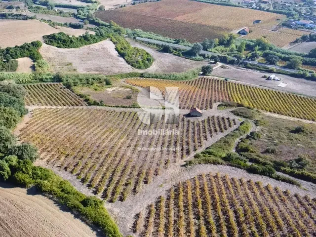 Terreno R�stico T0 - Dois Portos, Torres Vedras, Lisboa - Miniatura: 16/21
