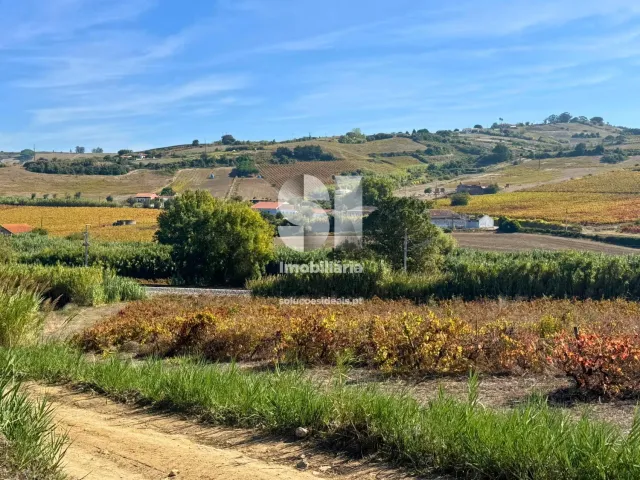 Terreno R�stico T0 - Dois Portos, Torres Vedras, Lisboa - Miniatura: 17/21