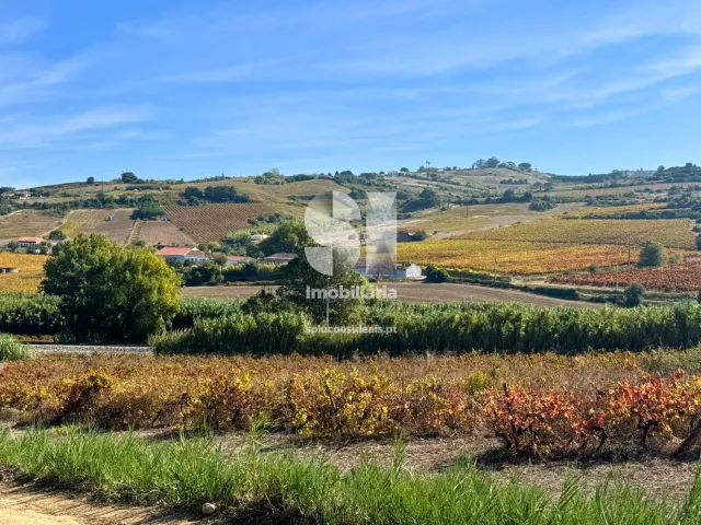 Terreno R�stico T0 - Dois Portos, Torres Vedras, Lisboa - Miniatura: 18/21