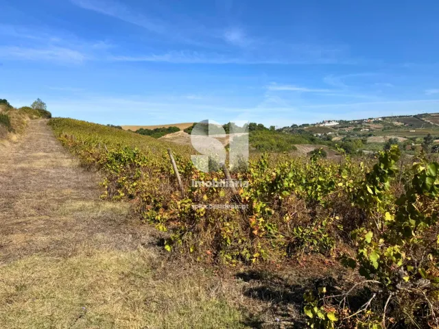 Terreno R�stico T0 - Dois Portos, Torres Vedras, Lisboa - Miniatura: 19/21