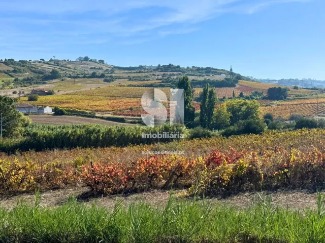 Terreno R�stico T0 - Dois Portos, Torres Vedras, Lisboa - Miniatura: 21/21