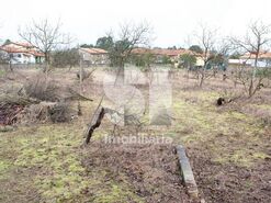 Terreno Urbano T0 - Oliveira do Bairro, Oliveira do Bairro, Aveiro - Miniatura: 5/8