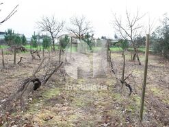 Terreno Urbano T0 - Oliveira do Bairro, Oliveira do Bairro, Aveiro - Miniatura: 6/8