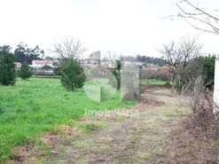 Terreno Urbano T0 - Oliveira do Bairro, Oliveira do Bairro, Aveiro - Miniatura: 7/8