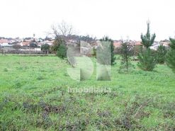 Terreno Urbano T0 - Oliveira do Bairro, Oliveira do Bairro, Aveiro - Miniatura: 8/8