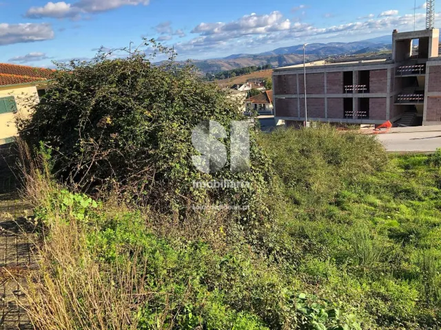 Terreno Urbano T0 - Sabrosa, Sabrosa, Vila Real - Miniatura: 2/15