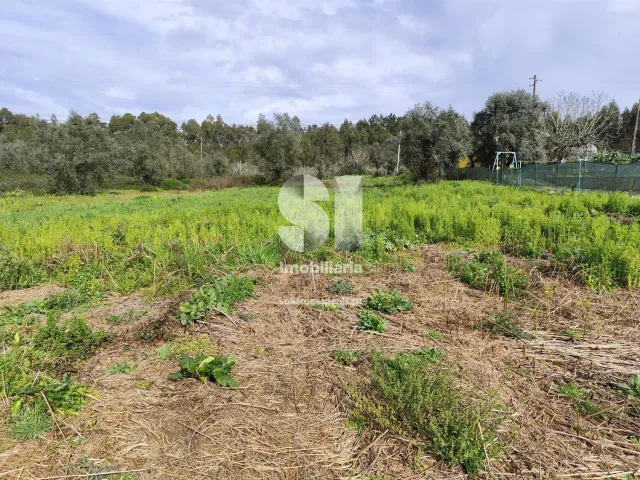 Terreno Urbano T0 - Pampilhosa, Mealhada, Aveiro - Miniatura: 4/9