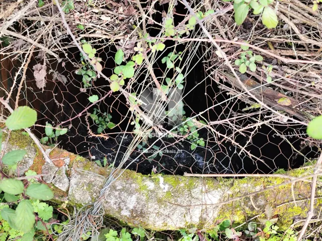 Terreno Urbano T0 - Pampilhosa, Mealhada, Aveiro - Miniatura: 5/9