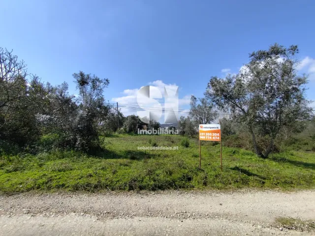 Terreno Urbano T0 - Pampilhosa, Mealhada, Aveiro - Miniatura: 9/9