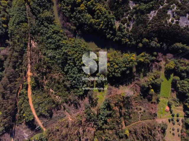 Terreno Urbano T0 - S�o Martinho da Corti�a, Arganil, Coimbra - Miniatura: 6/20