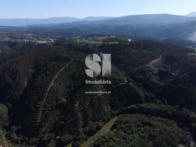 Terreno Urbano T0 - S�o Martinho da Corti�a, Arganil, Coimbra - Miniatura: 8/20