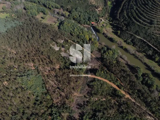 Terreno Urbano T0 - S�o Martinho da Corti�a, Arganil, Coimbra - Miniatura: 10/20