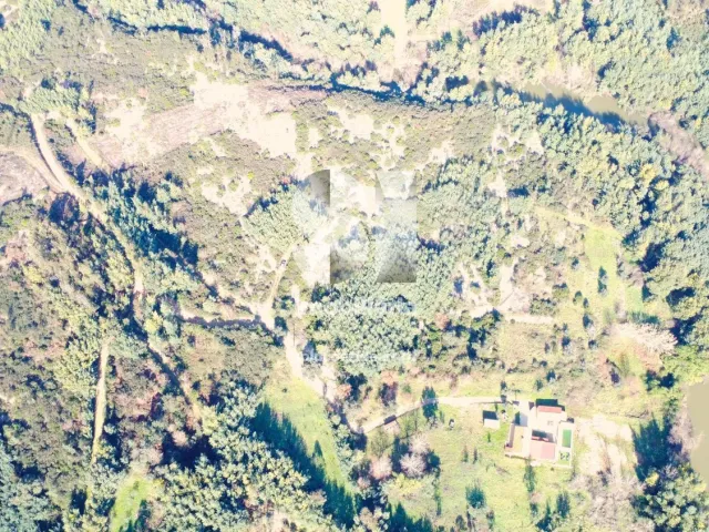 Terreno Urbano T0 - S�o Martinho da Corti�a, Arganil, Coimbra - Miniatura: 14/20