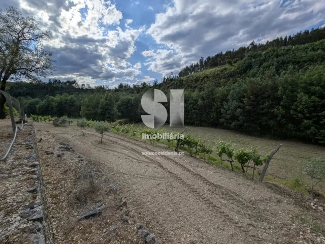 Quinta T0 - Lavegadas, Vila Nova de Poiares, Coimbra - Miniatura: 20/26