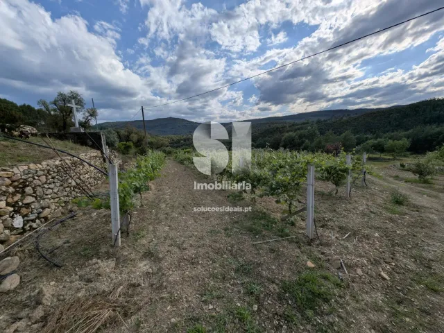 Quinta T0 - Lavegadas, Vila Nova de Poiares, Coimbra - Miniatura: 23/26